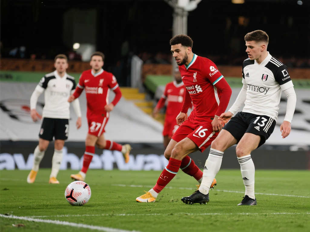 季的表现寄 季的表现寄